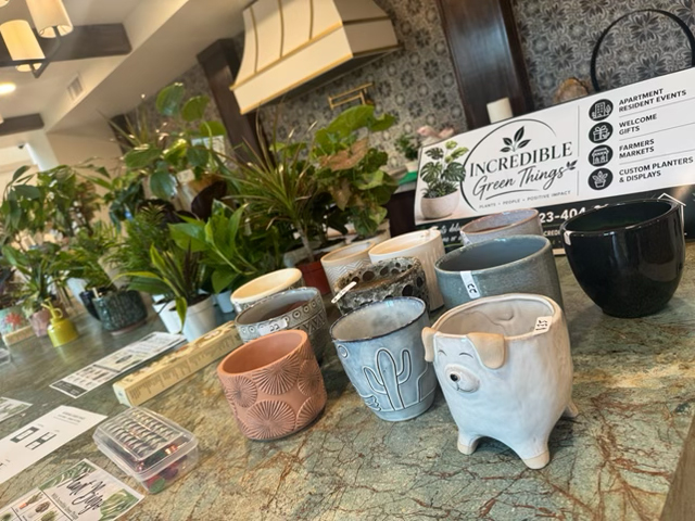 Plant pop-up event for residents in the club room at Manor Scottsdale