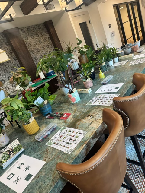 Potted plants set up for a resident plant event on the club room island at Manor Scottsdale